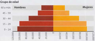 Distribución por sexo y edad de la población de Ica